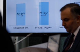 Заседание комитета Законодательного Собрания по бюджету и налогам 29 октября 2024 г.