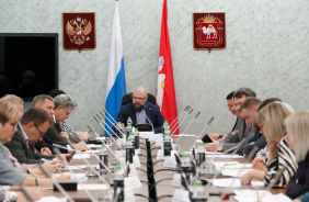 Заседание комитета Законодательного Собрания по социальной политике 24 октября 2024 г. 