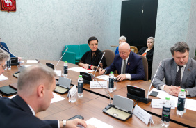 Заседание комитета Законодательного Собрания по социальной политике 24 октября 2024 г. 