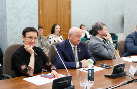 Заседание комитета Законодательного Собрания по социальной политике 24 октября 2024 г. 