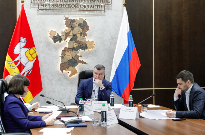Комитет Законодательного Собрания по экономической политике обсудил вопросы развития малого и среднего предпринимательства в Челябинской области 