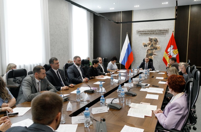 Комитет по молодежной политике, культуре и спорту поддержал ряд изменений в региональное законодательство