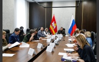 Заседание рабочей группы по проекту закона Челябинской области «О дополнительных ограничениях продажи безалкогольных тонизирующих напитков…»