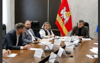 Заседание рабочей группы по проекту закона Челябинской области «О дополнительных ограничениях продажи безалкогольных тонизирующих напитков…»