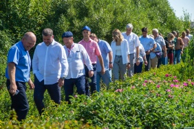 Комитет по аграрной политике