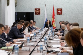 Заседание комитета Законодательного Собрания по социальной политике