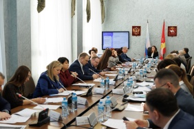 Заседание комитета Законодательного Собрания по социальной политике