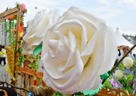 Фото: Людмила Потапова