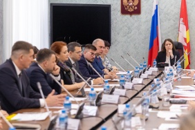 Заседание комитета Законодательного Собрания по социальной политике